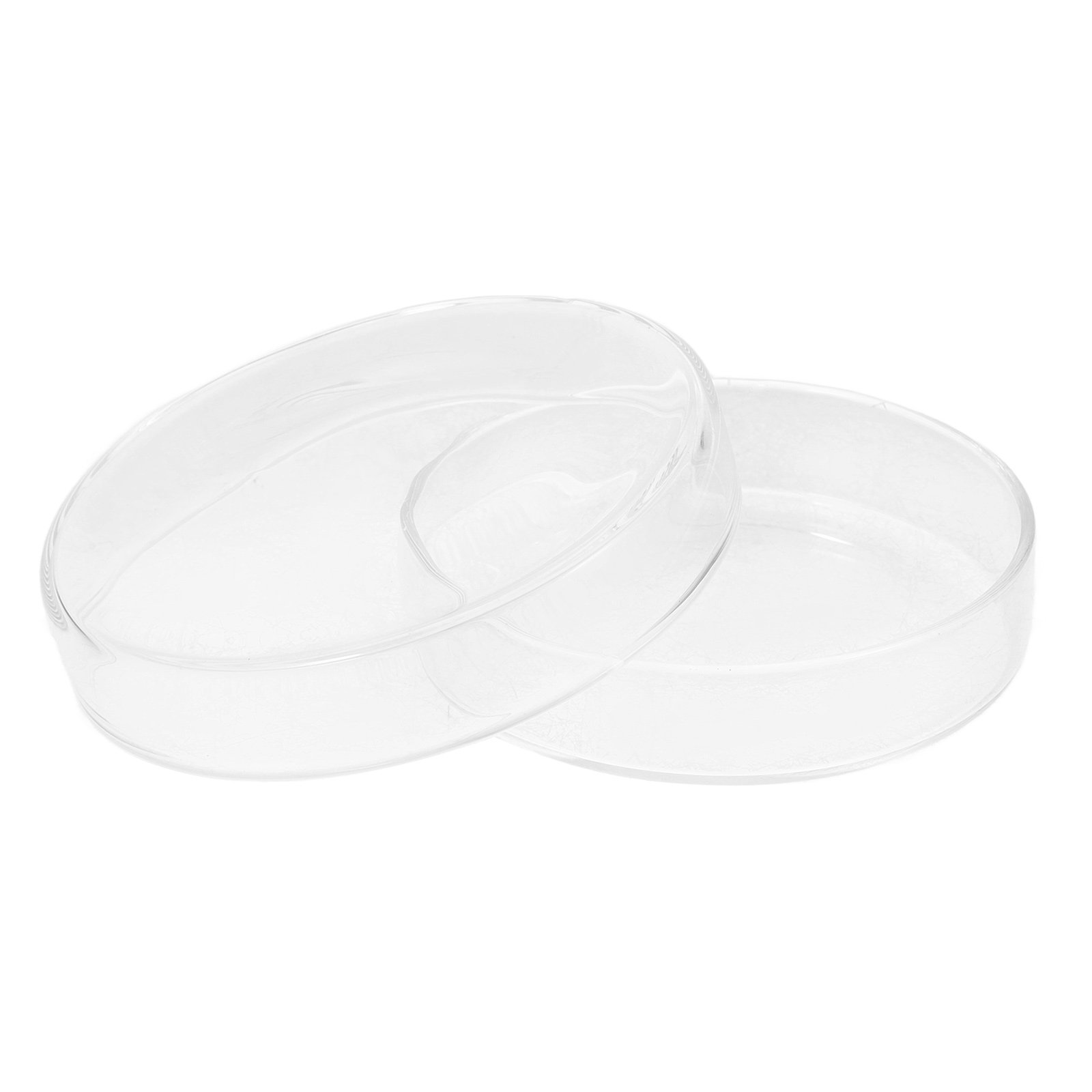 Agar Tissue Culture - Szklana piastrzanka Petriego z wysokiej jakości