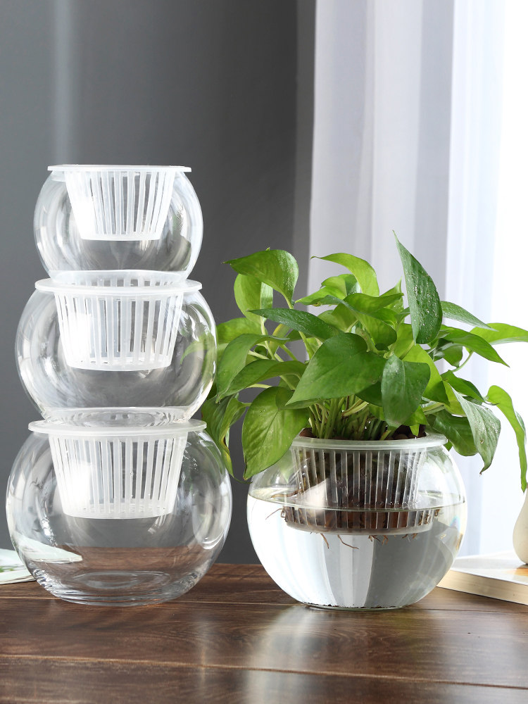 Propagation Station Vase - Hydroponiczny szklany wazon, szklany wazon na