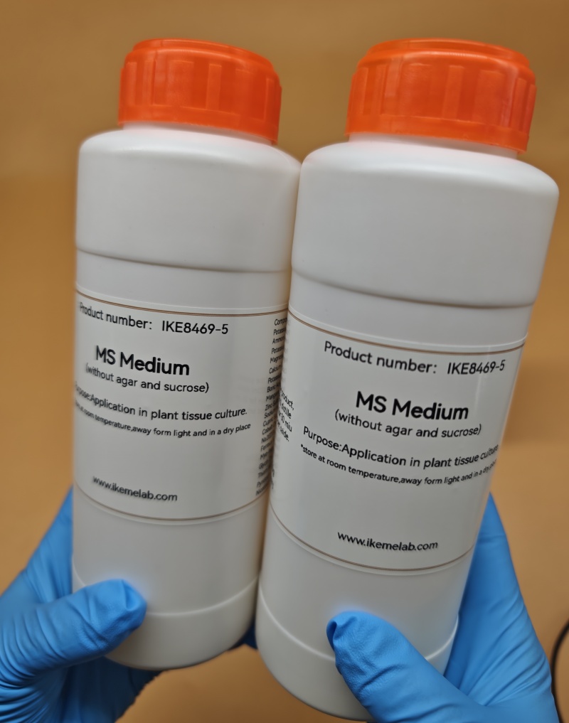 IKEME 250g Lab MS Medium bez a – Agar Tissue Culture recenzja i cena
