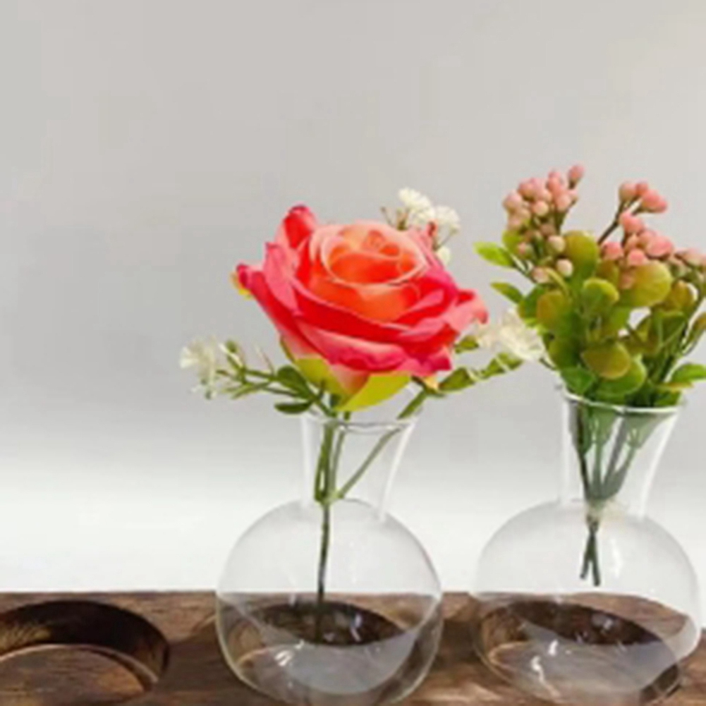 Wazony hydroponiczne 75STO, vi – Propagation Station Vase recenzja i cena