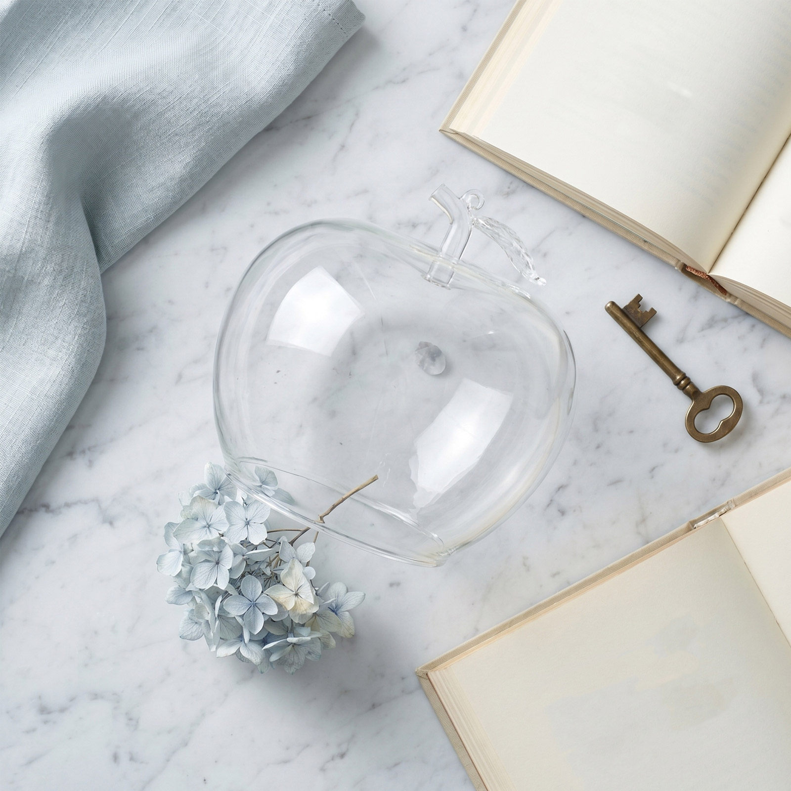 Szklana kopuła w kształcie owo – Plastic Dome Clear recenzja i cena