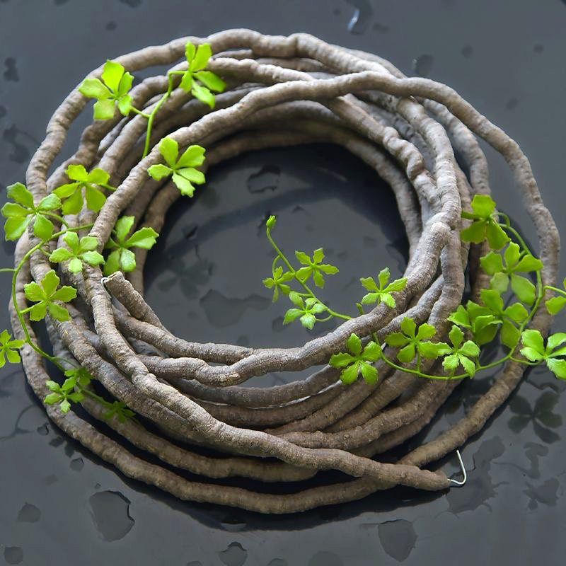 Sztuczne pnącza bluszczu 100 c – Sphagnum Moss Dry recenzja i cena