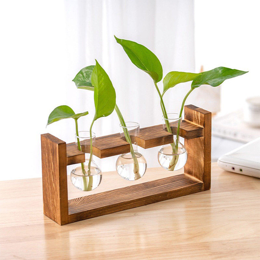 Wazony do domu, biura, hydropo – Propagation Station Vase recenzja i cena