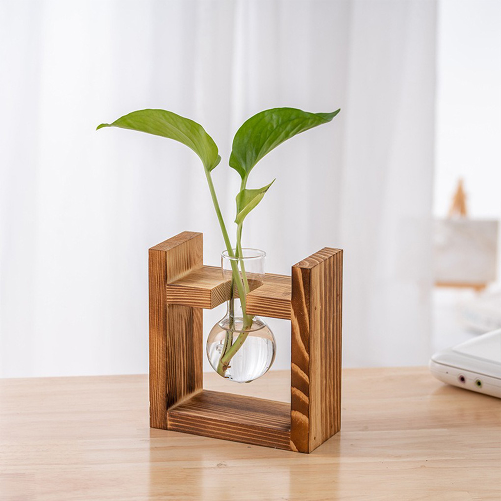 Wazony do domu, biura, hydropo – Propagation Station Vase recenzja i cena