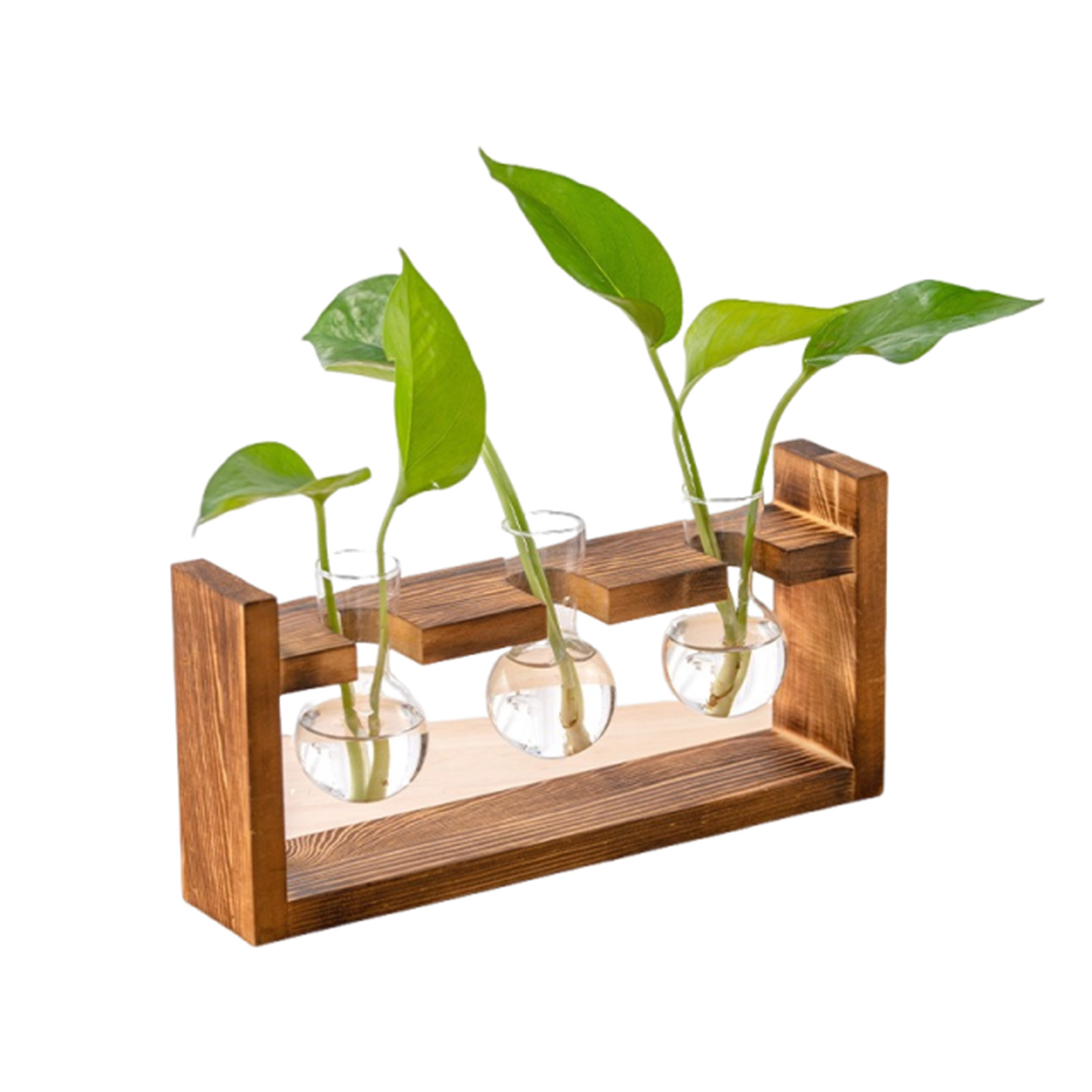 Wazony do domu, biura, hydropo – Propagation Station Vase recenzja i cena