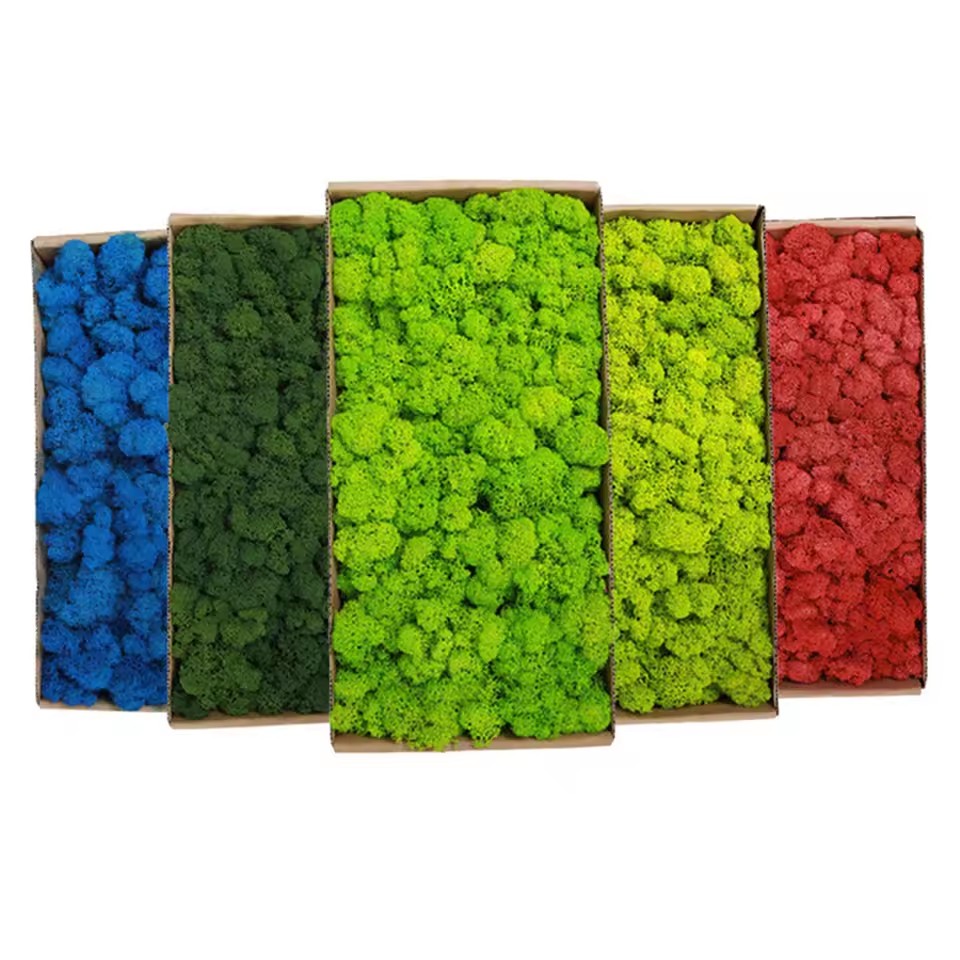 20-200g Sztuczne Zielone Rośli – Sphagnum Moss Dry recenzja i cena