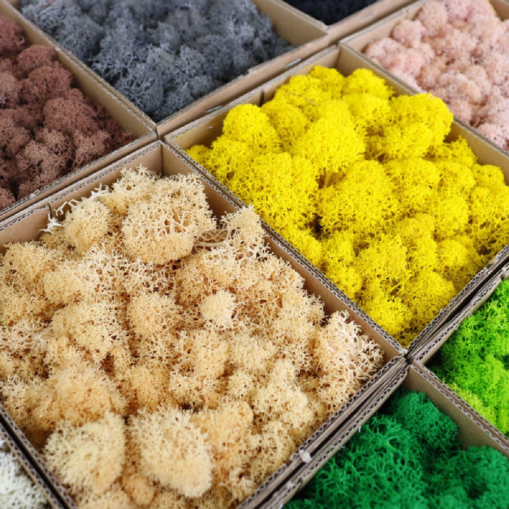 Sztuczne rośliny zielone Mini  – Sphagnum Moss Dry recenzja i cena