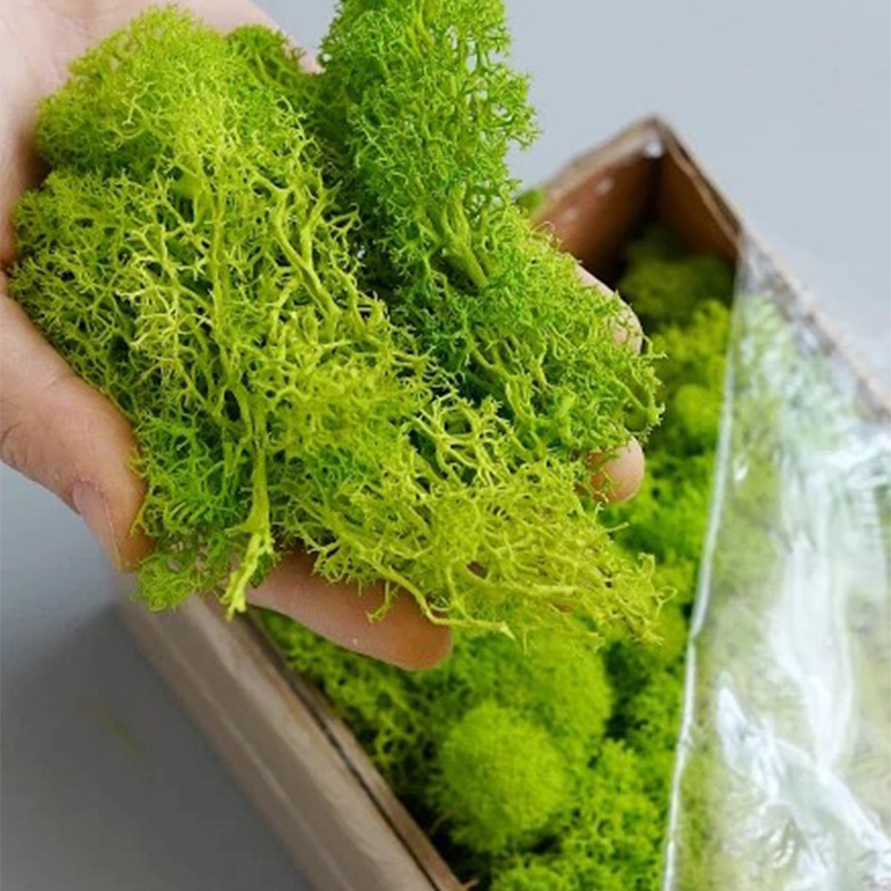 Sztuczne rośliny zielone Mini  – Sphagnum Moss Dry recenzja i cena