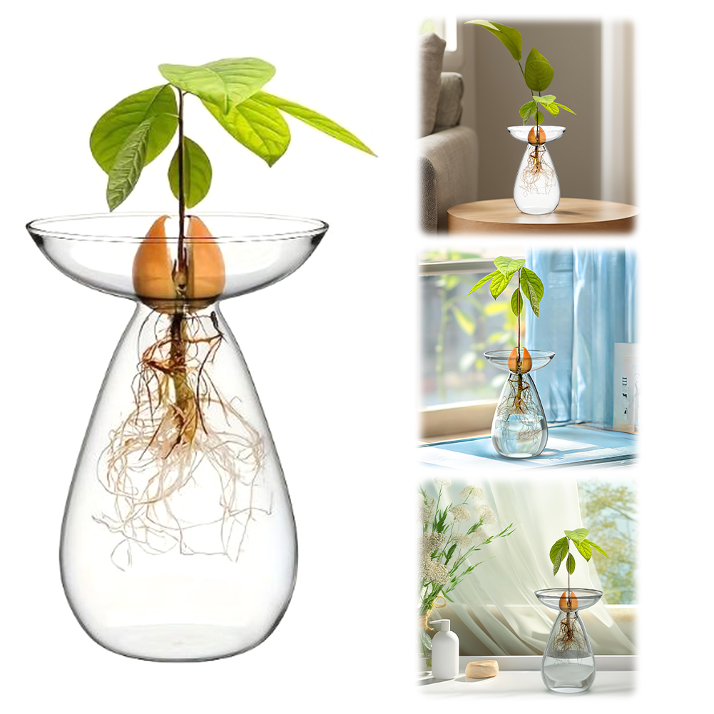 Wazon do rozsady awokado, prze – Propagation Station Vase recenzja i cena