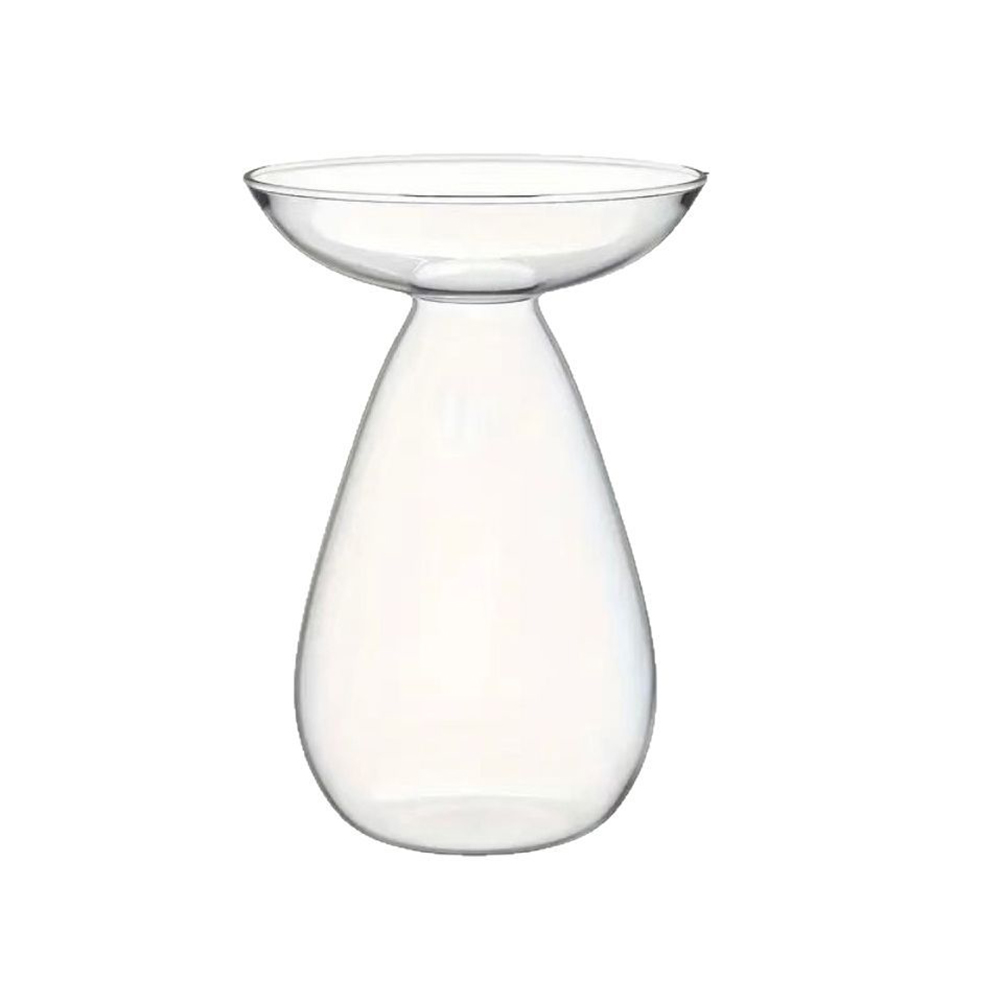 Wazon do rozsady awokado, prze – Propagation Station Vase recenzja i cena