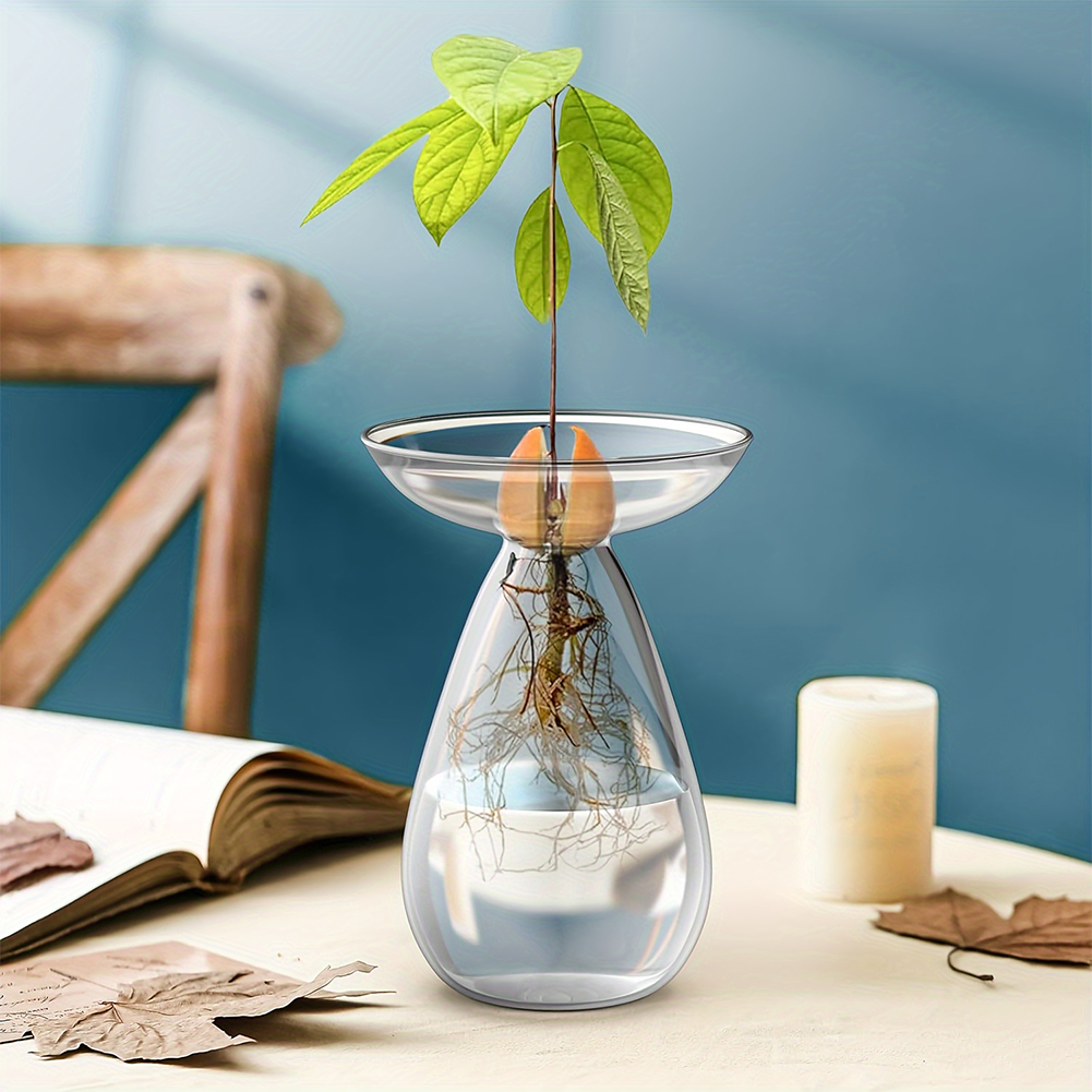 Wazon do rozsady awokado, prze – Propagation Station Vase recenzja i cena