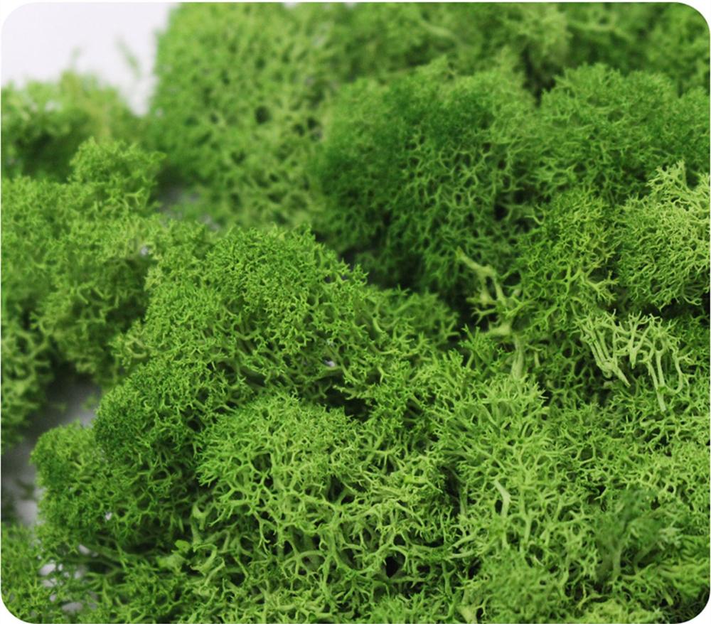 Sztuczna roślina życie wieczne – Sphagnum Moss Dry recenzja i cena