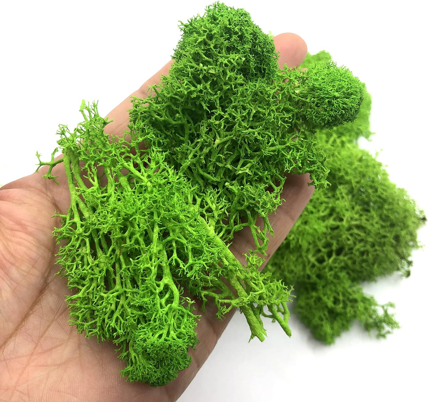 200g Sztuczne rośliny zielone  – Sphagnum Moss Dry recenzja i cena