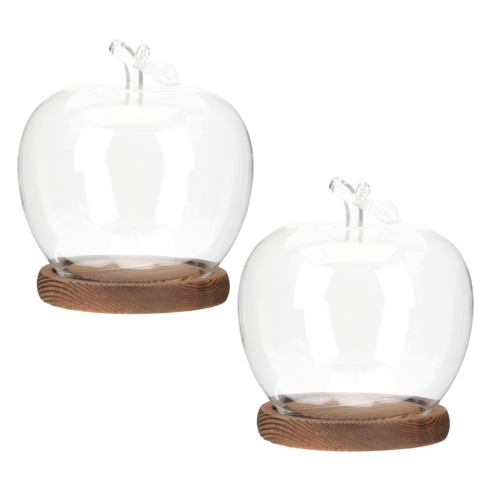 2 sztuki szklanych kopuł z dre – Plastic Dome Clear recenzja i cena
