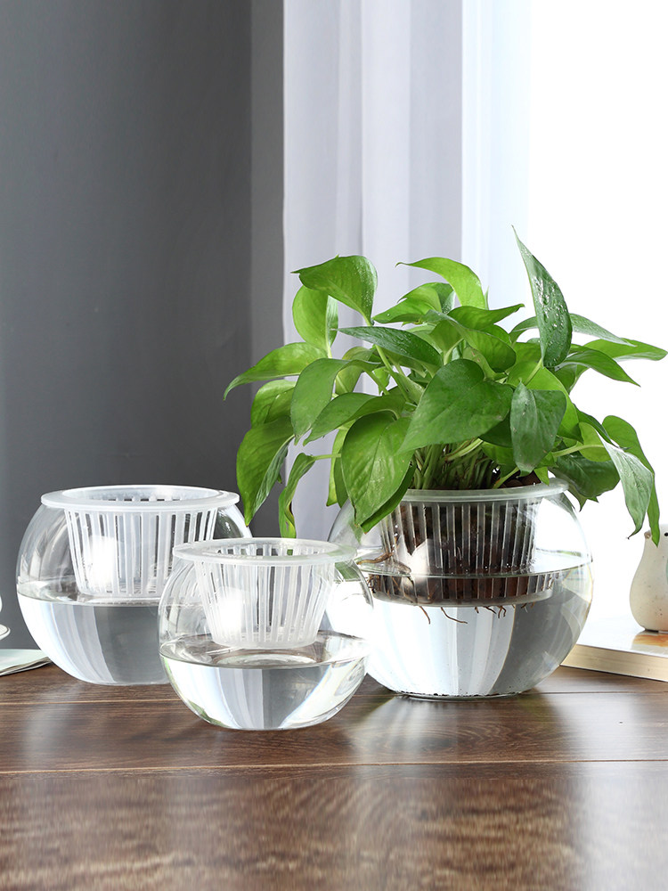 Hydroponiczny szklany wazon, s – Propagation Station Vase recenzja i cena