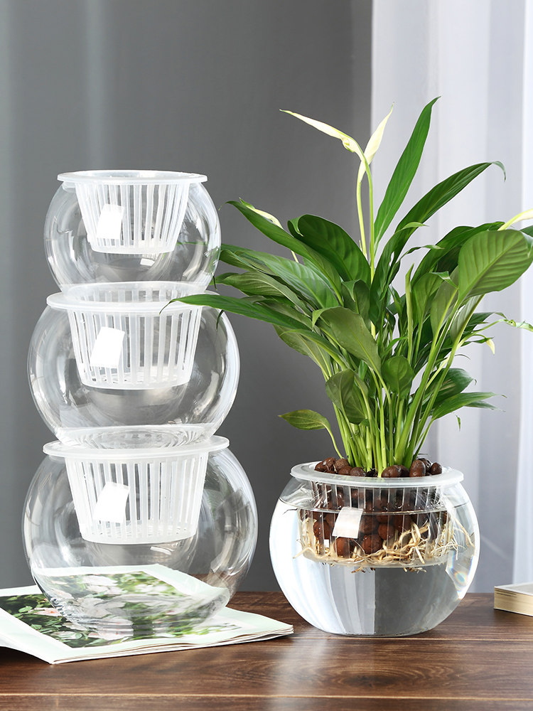 Hydroponiczny szklany wazon, s – Propagation Station Vase recenzja i cena